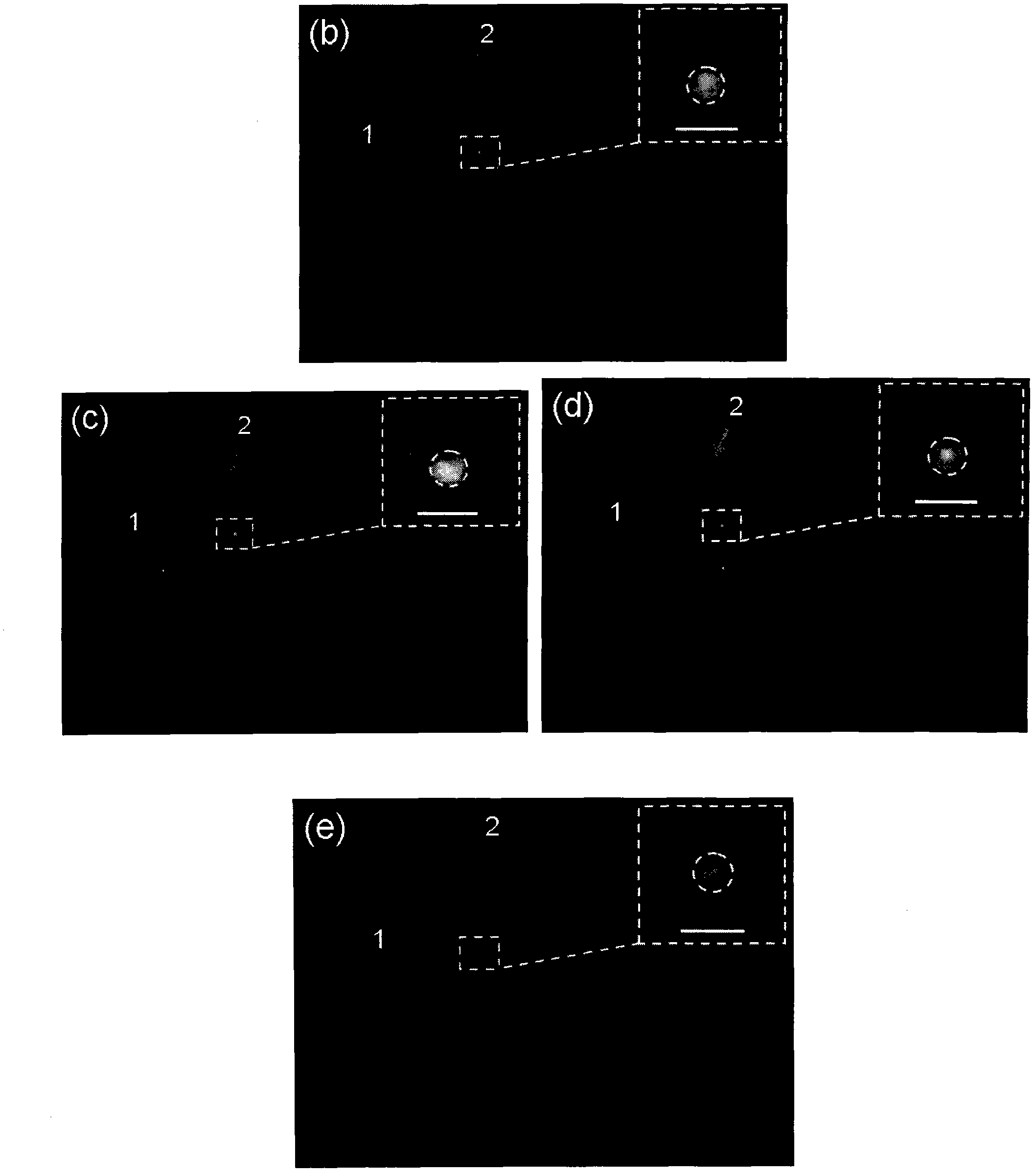 Method for realizing micronano all-optical color