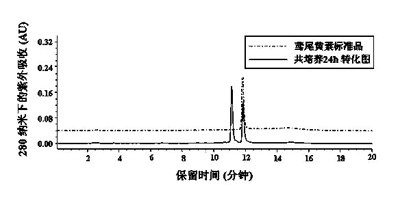 Clostridium AUH-JLC39 and application in conversion of tectorigenin