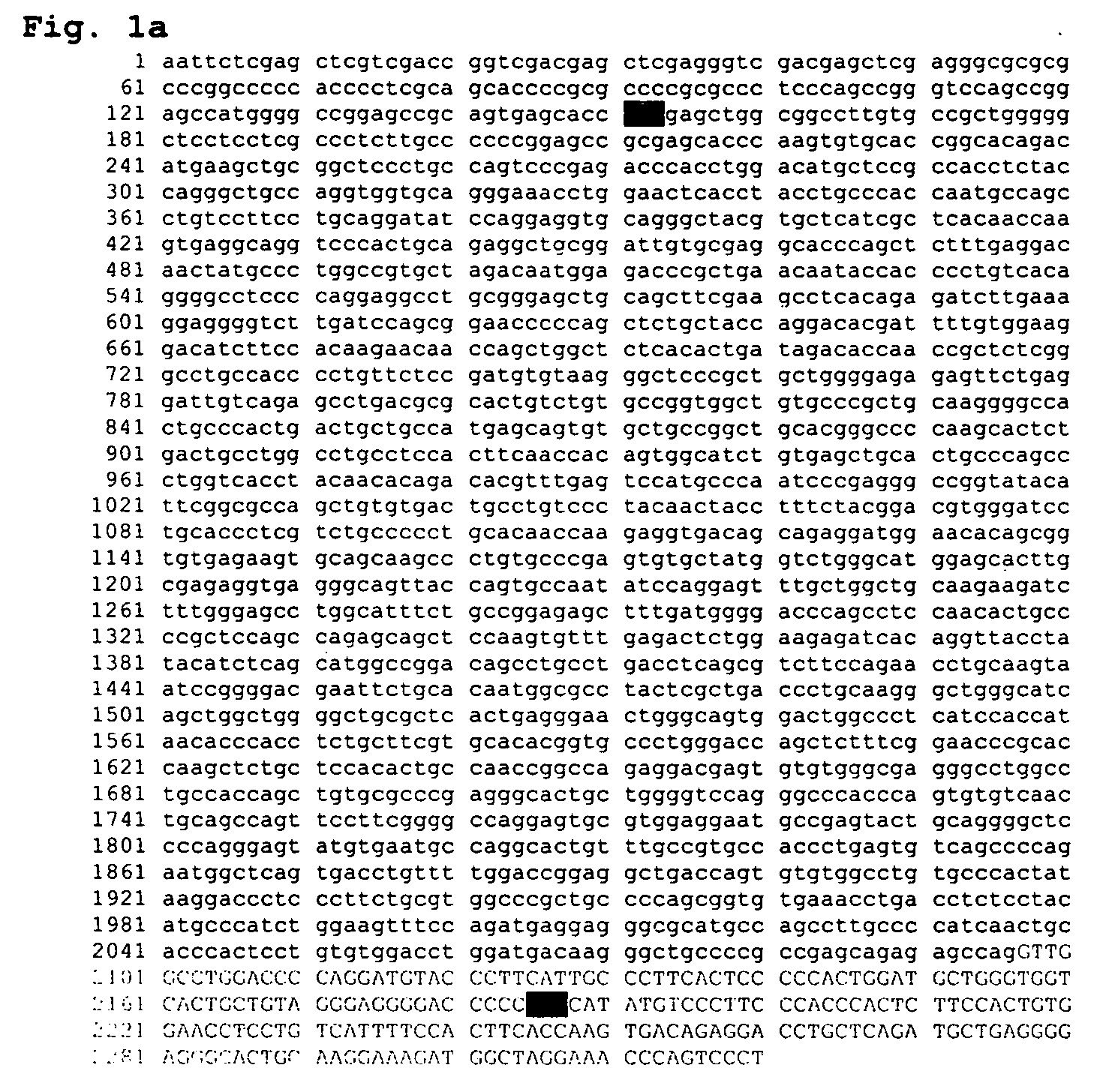 Polynucleotides encoding novel ErbB-2 polypeptides and kits and methods using same