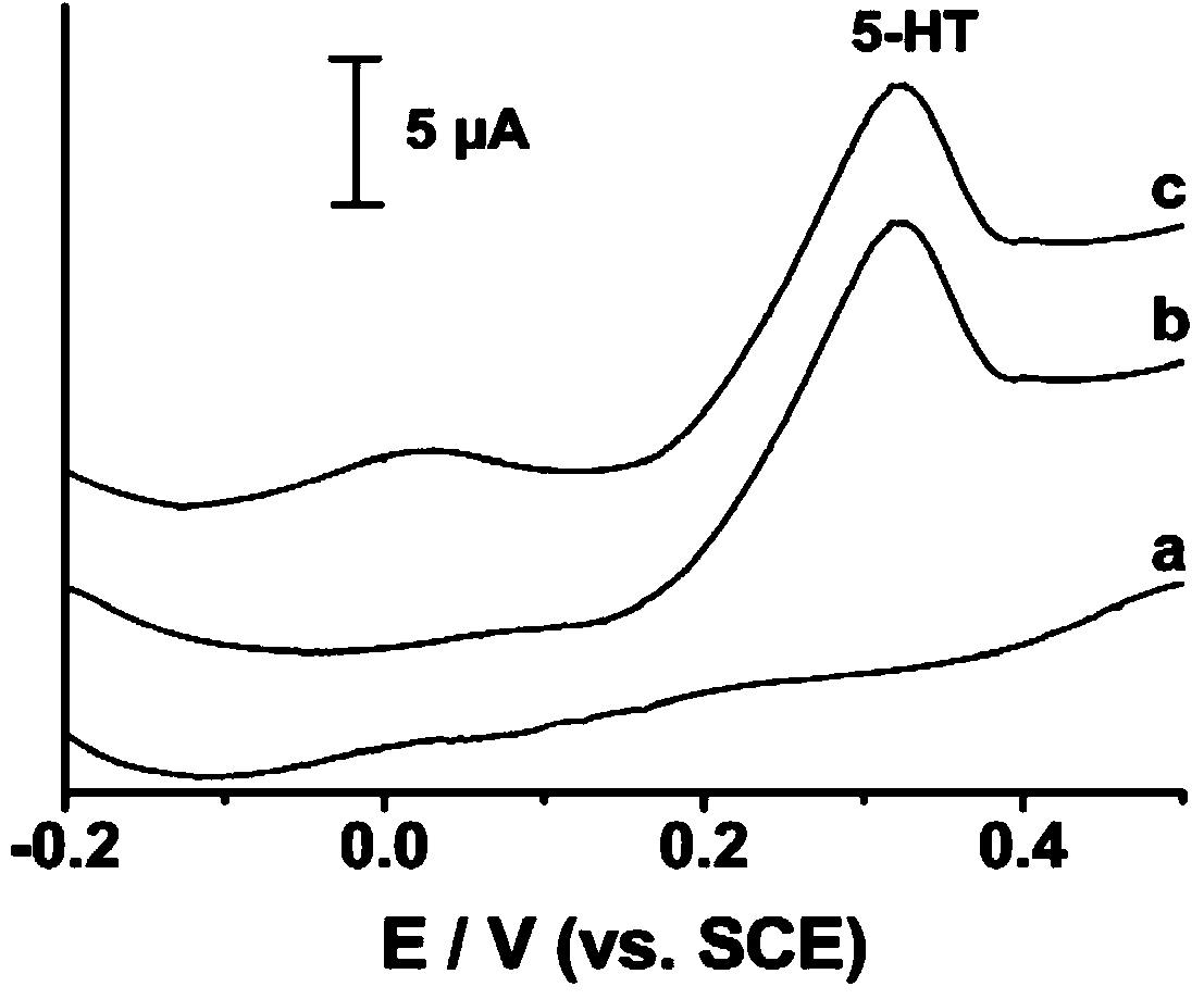 Preparation method of molecular imprinting electrochemical sensor for detecting serotonins