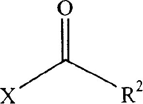 Functionalized elastomer nanocomposite