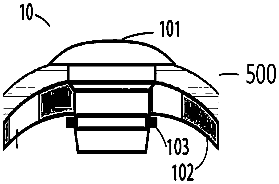 Artificial cornea