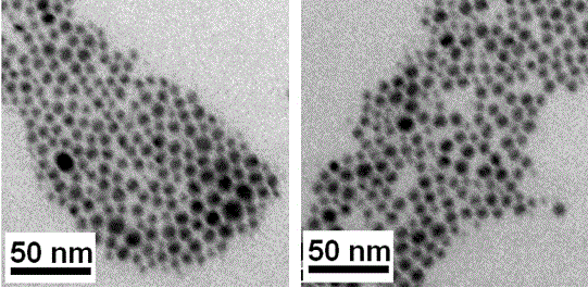 Preparation method of water-soluble nanoparticles