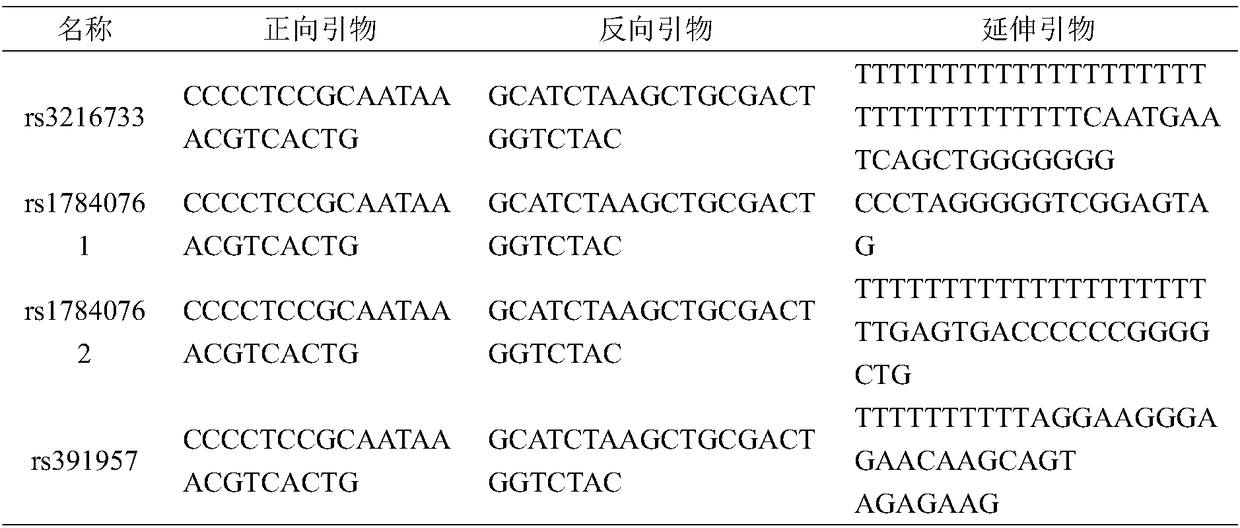 GRP78 gene SNP (Single Nucleotide Polymorphism) marker related to asthenospermia, and application thereof