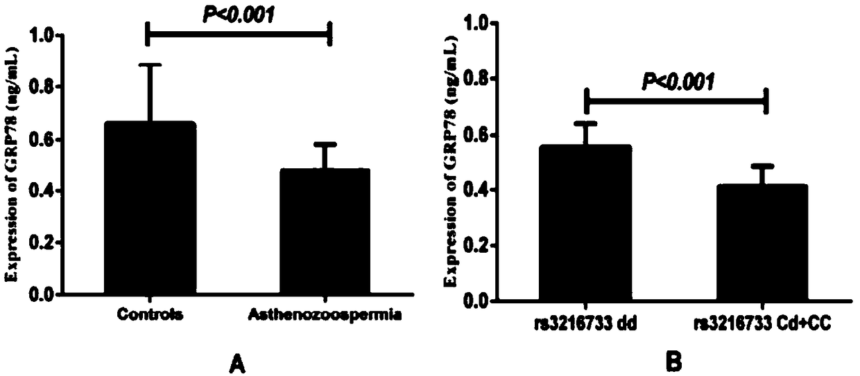 GRP78 gene SNP (Single Nucleotide Polymorphism) marker related to asthenospermia, and application thereof