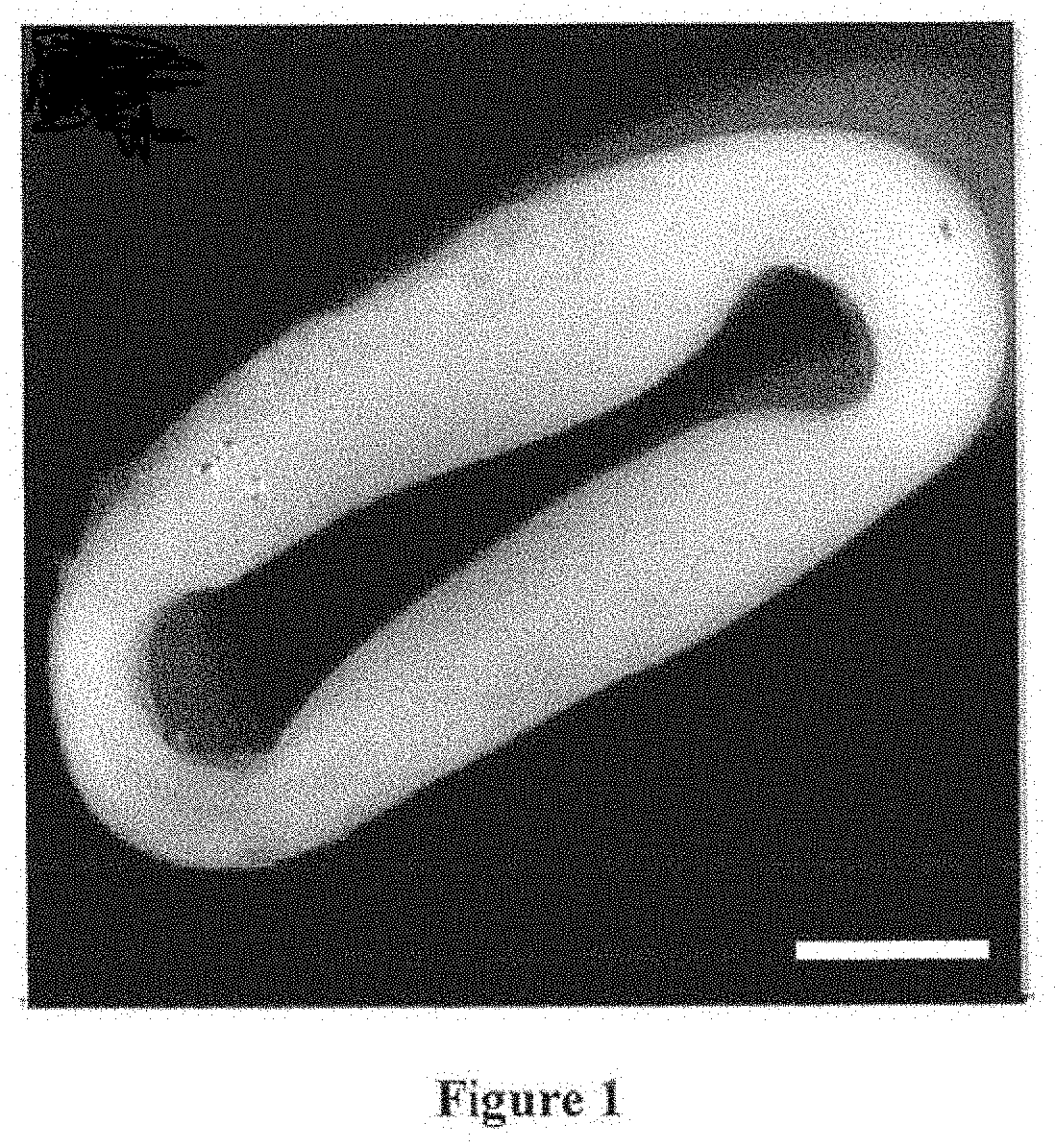 Method for producing engineered heart muscle (EHM)