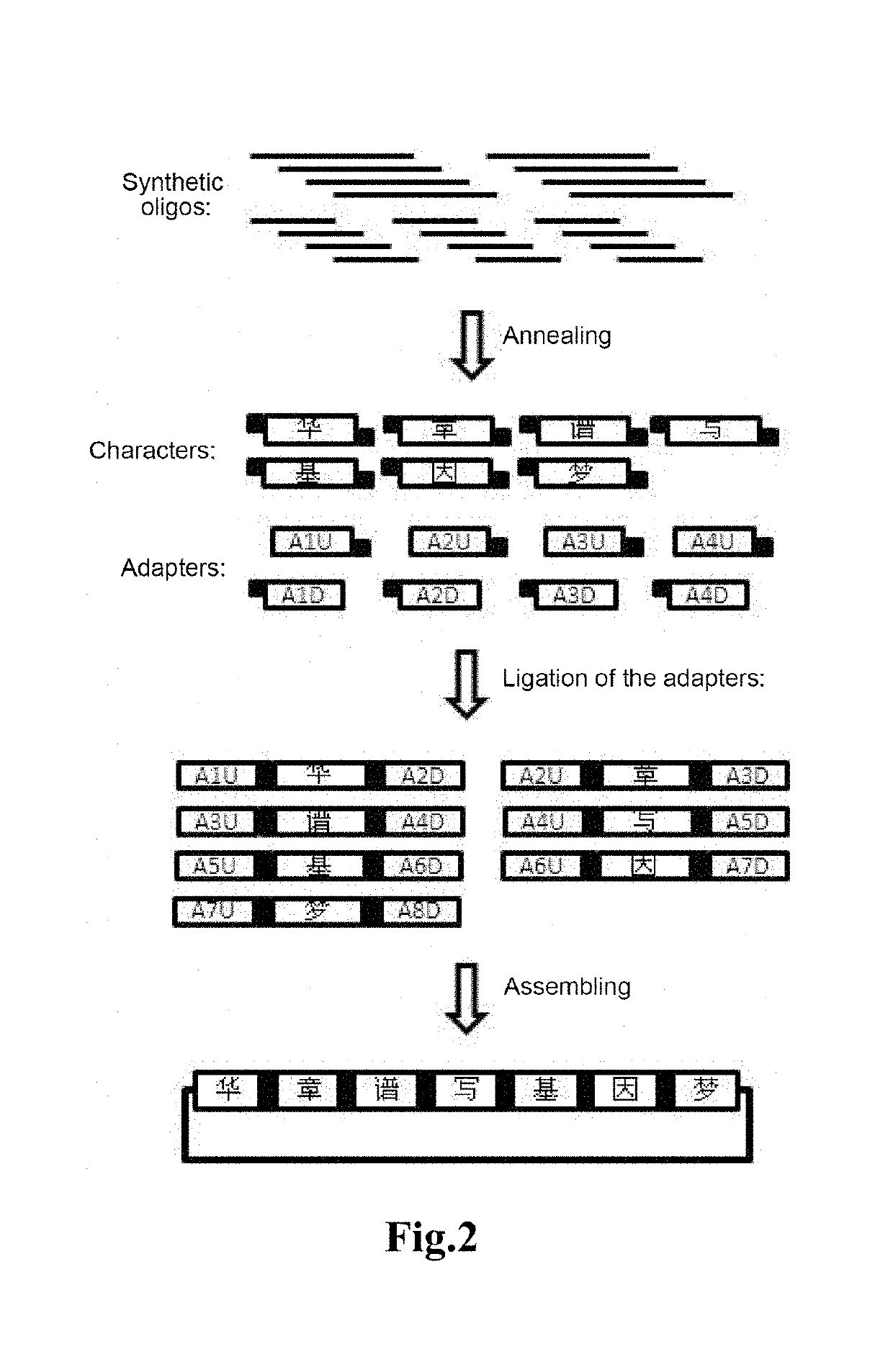 Method for using DNA to store text information, decoding method therefor and application thereof