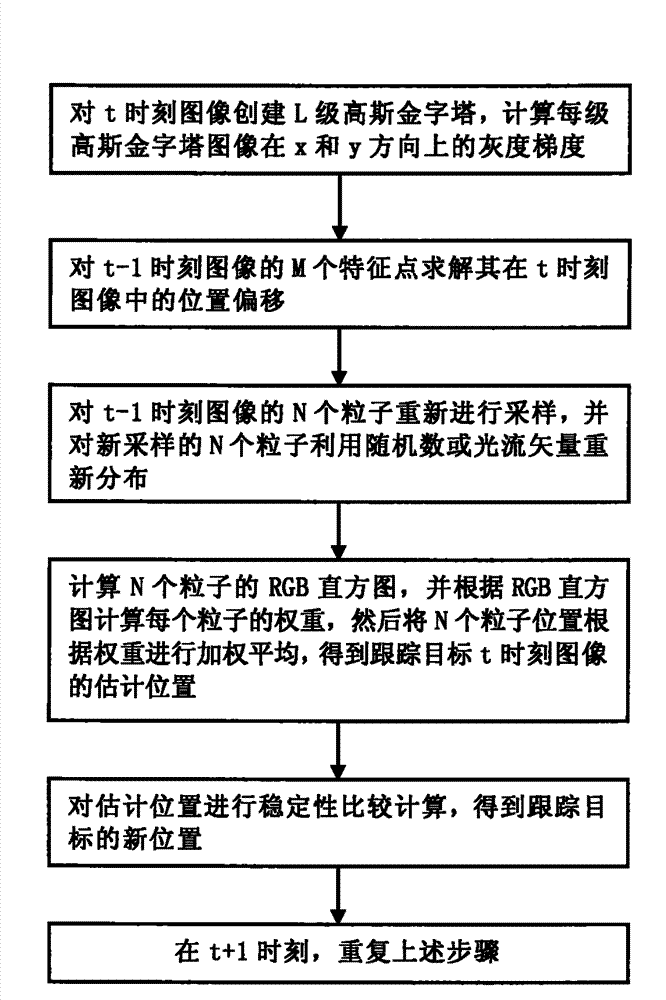 Particle filter and light stream vector-based video target tracking method