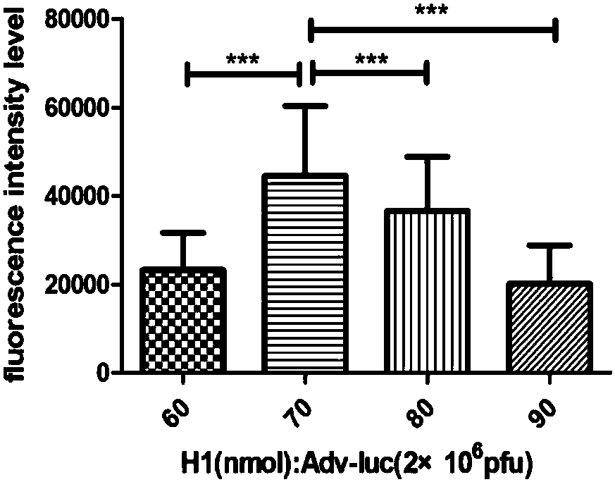 Application of polycation carrier coated recombinant adenovirus to preparation of anti-tumor gene drug