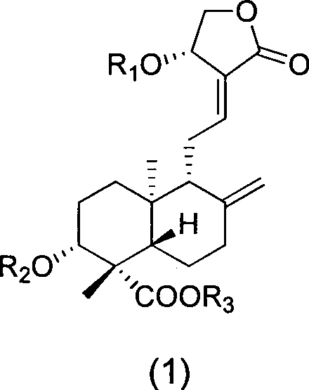 19-carboxyl andrographolide derivative, preparation method and medicinal application thereof