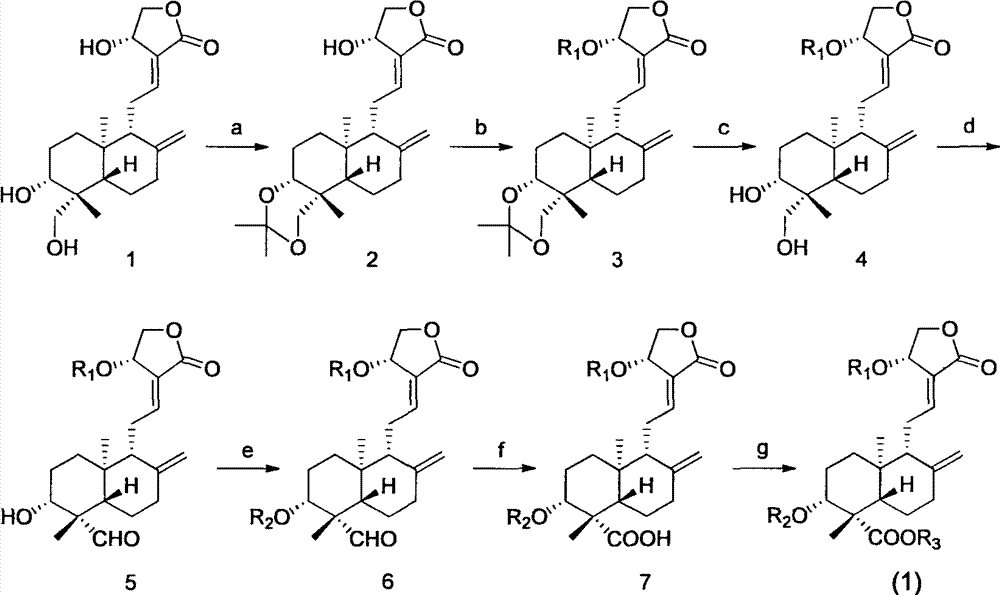 19-carboxyl andrographolide derivative, preparation method and medicinal application thereof