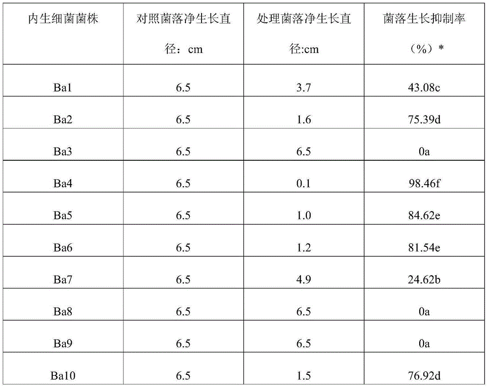 Application of a strain of Bacillus amyloliquefaciens and its agent in the prevention and treatment of olive fruit rot