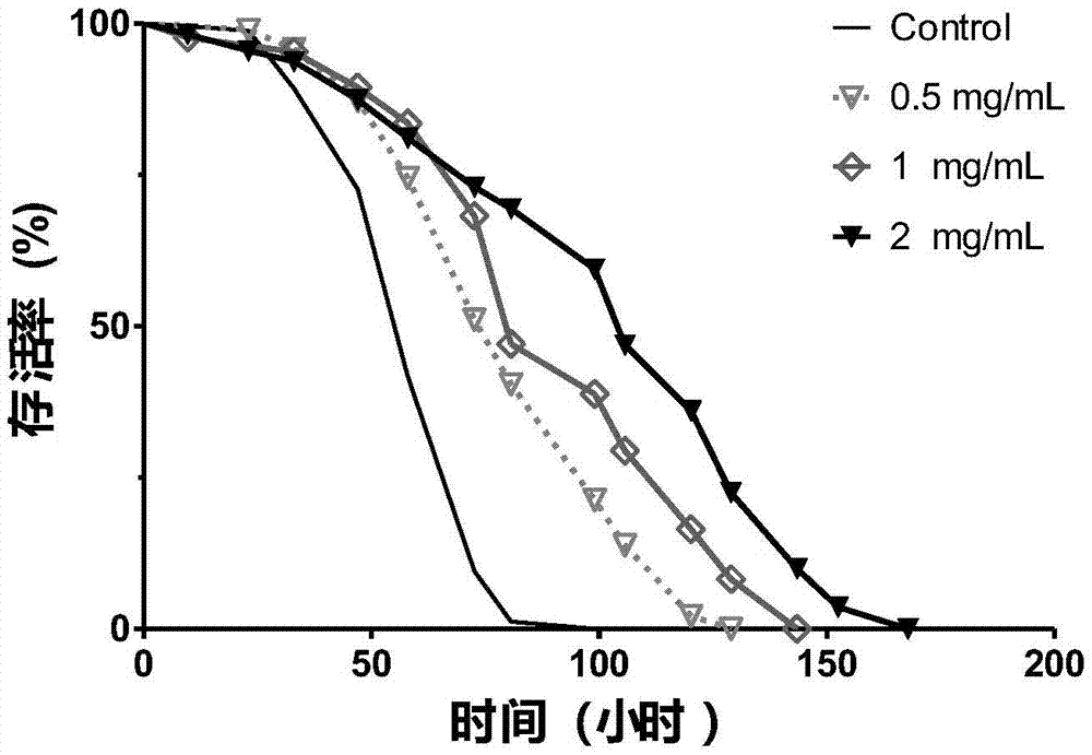 Mastra veneriformis polypeptide with in-vivo anti-oxidation and neuroprotection functions, and preparation method and application thereof