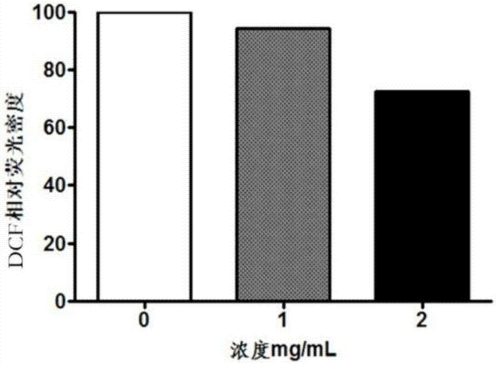 Mastra veneriformis polypeptide with in-vivo anti-oxidation and neuroprotection functions, and preparation method and application thereof