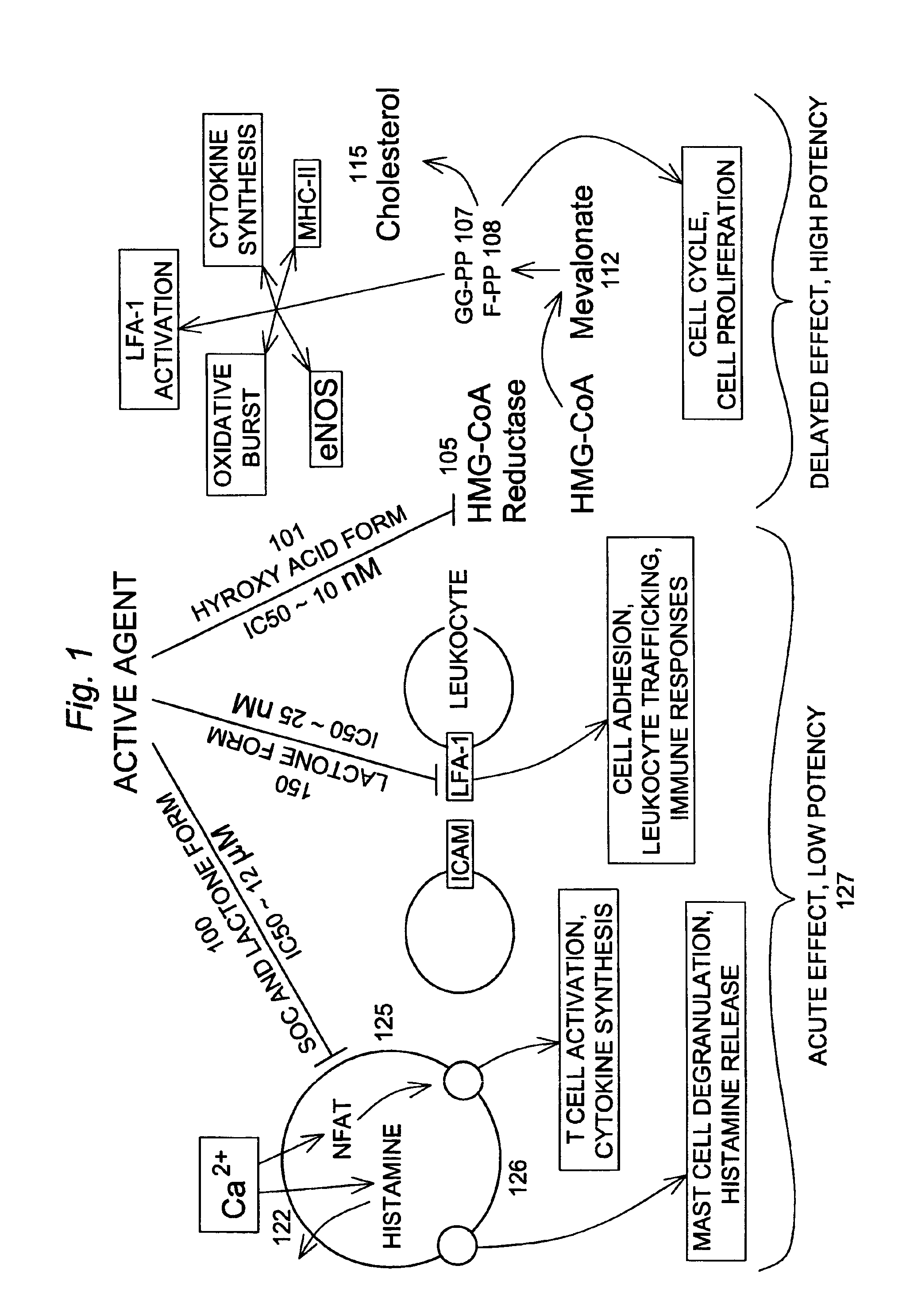 Store operated calcium influx inhibitors and methods of use