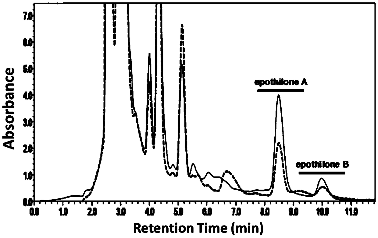 A kind of additive for improving epothilone fermentation yield and application thereof