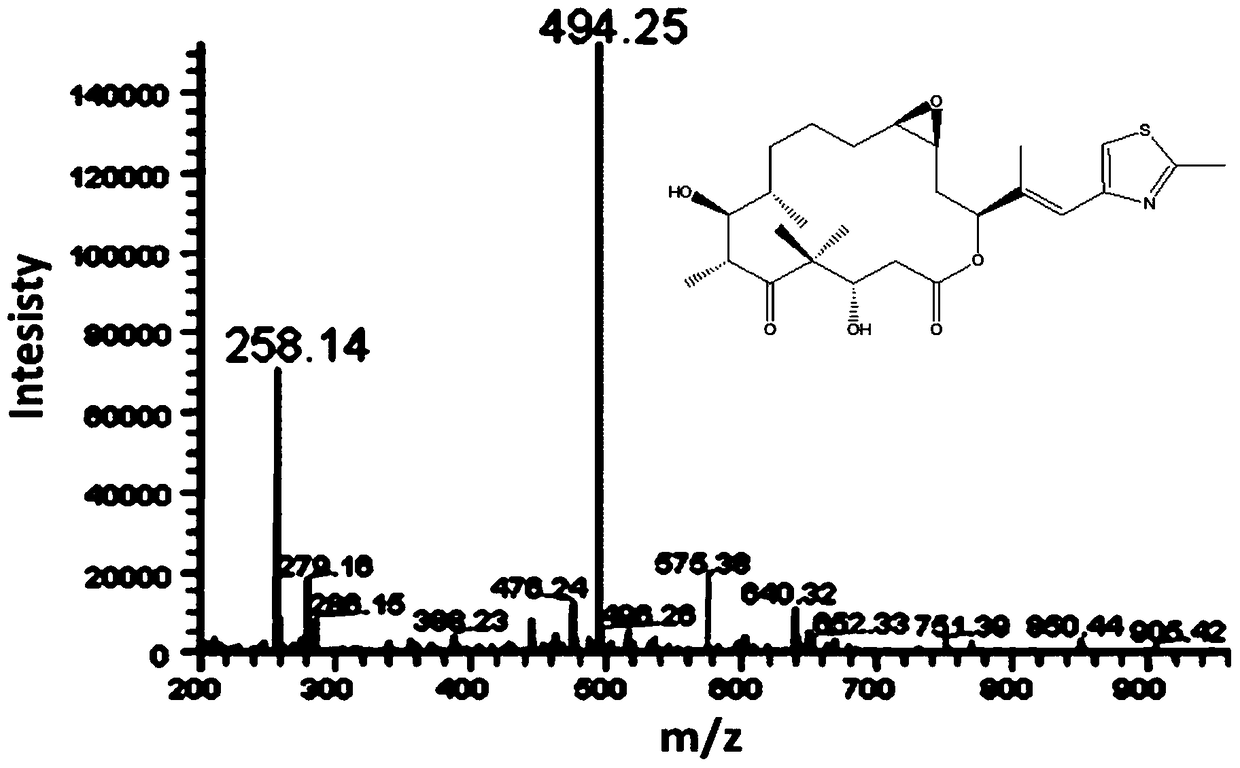 A kind of additive for improving epothilone fermentation yield and application thereof