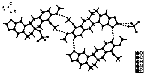 Tetrahydroberberine phosphate drug co-crystal and preparation method thereof