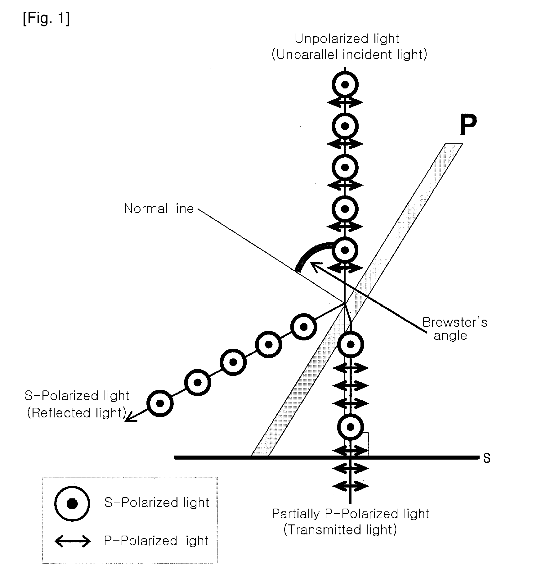 Polarizing plate and polarizing device comprising the same