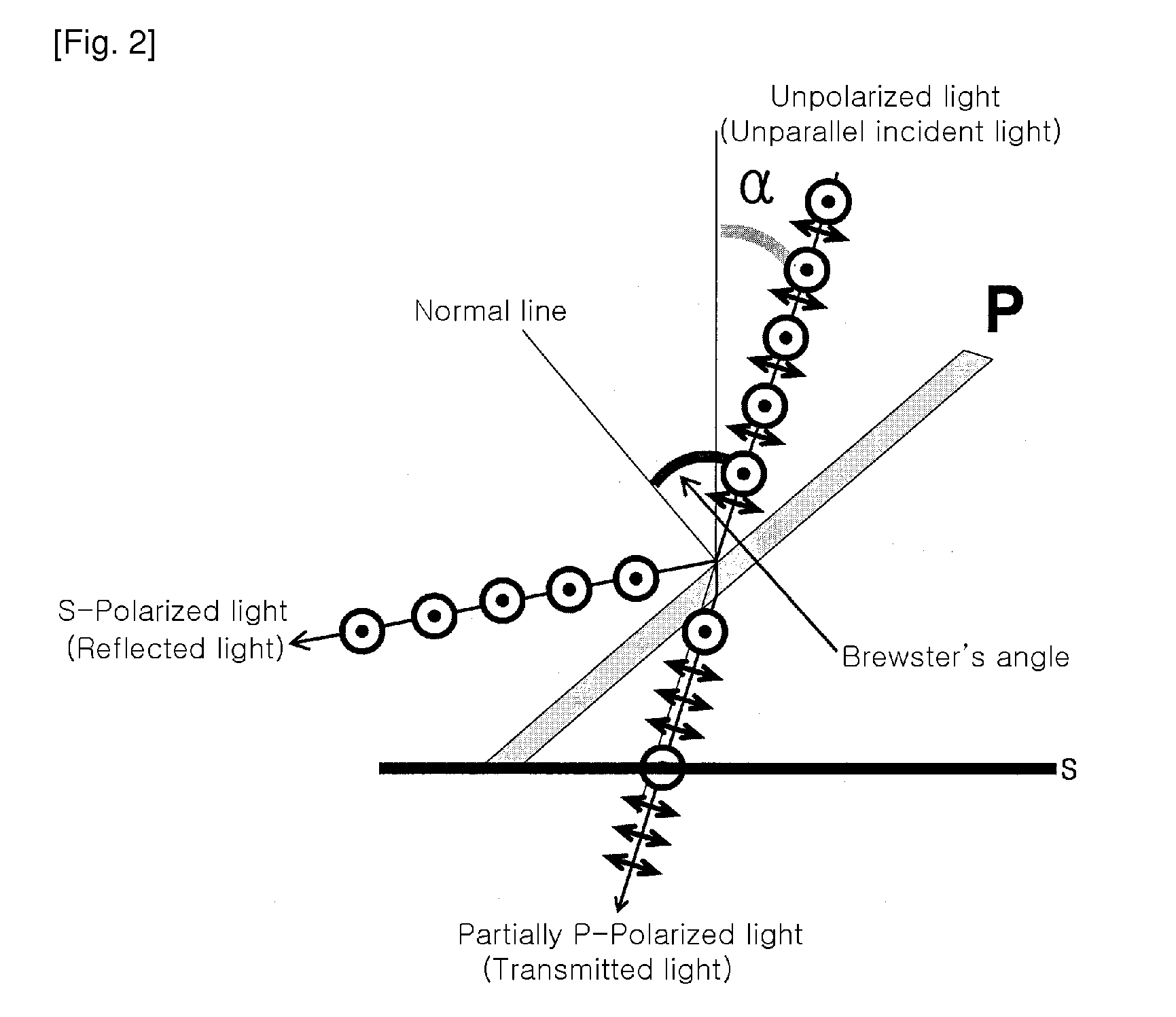 Polarizing plate and polarizing device comprising the same