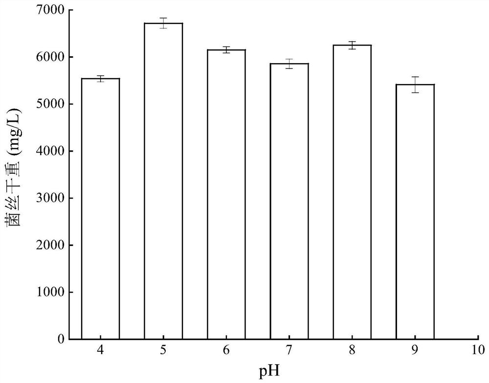 Endophytic fungus letendraea sp.WZ07 and its application in the synthesis of nano-silver