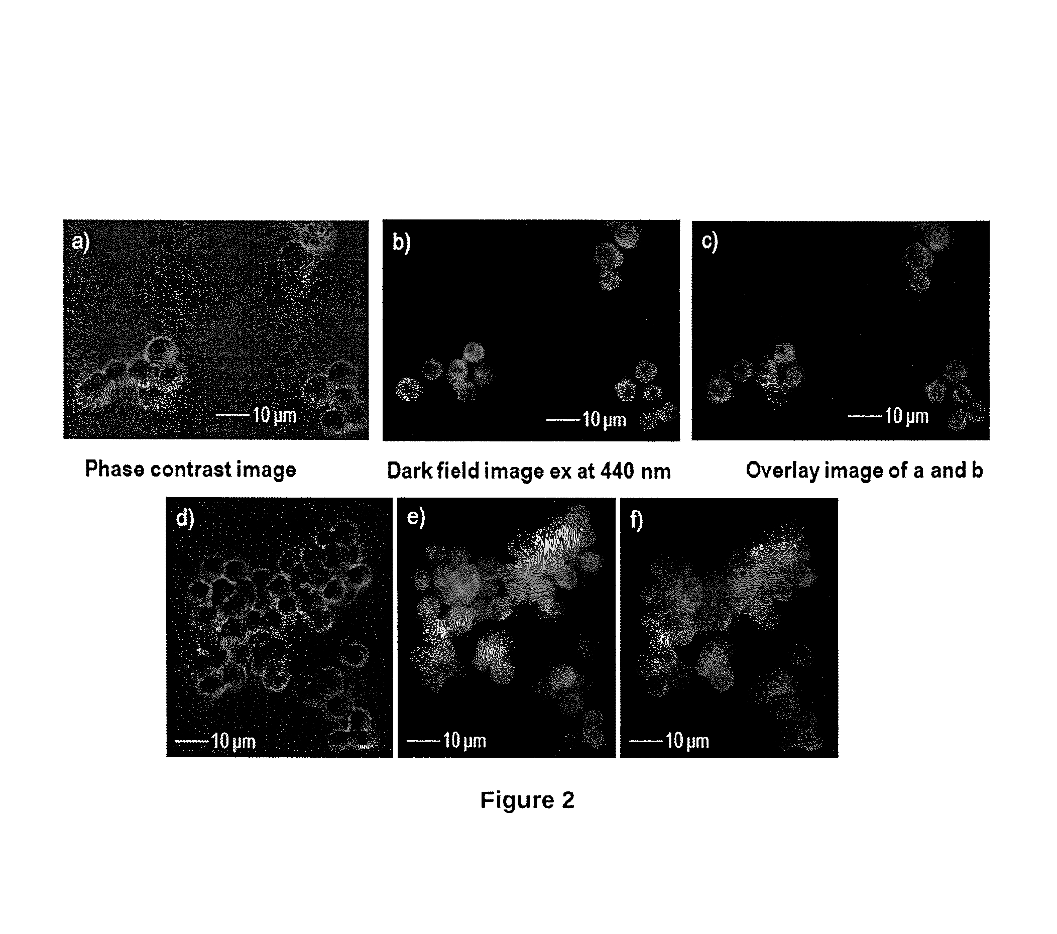 End-capped bipyridine compound, process for preparation thereof and process for selective detection of cyanide anions therewith