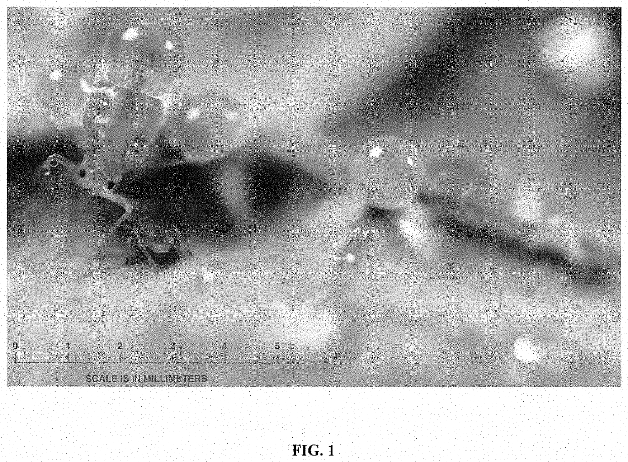 Pesticides and Methods of Use Thereof