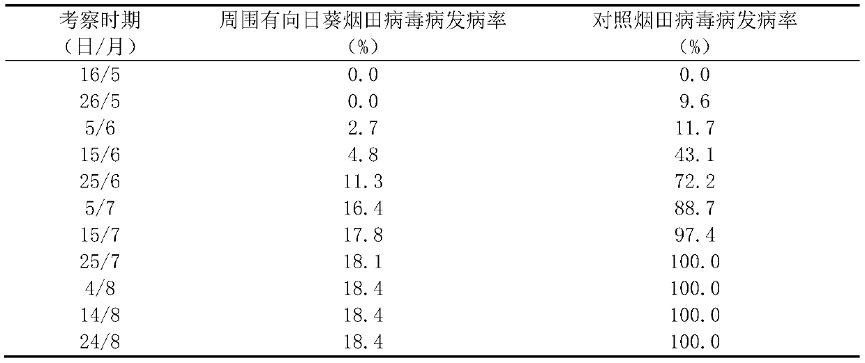 A method for reducing the incidence of tobacco aphid-borne diseases