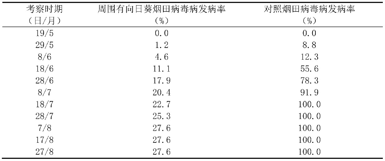 A method for reducing the incidence of tobacco aphid-borne diseases