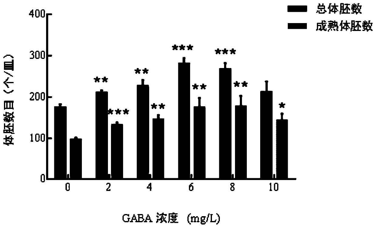 Culture medium using gamma-aminobutyric acid to promote hybrid liriodendron somatic embryogenesis and application thereof