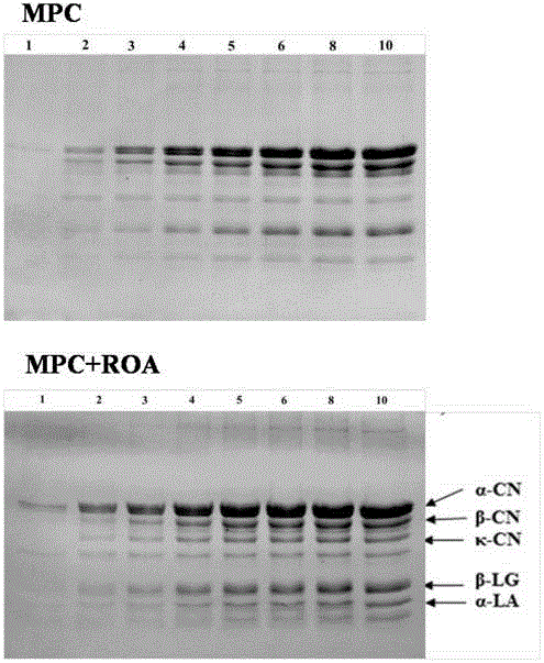 Method for protecting and delaying unsaturated fatty acid from oxidation through lactoprotein microcapsule