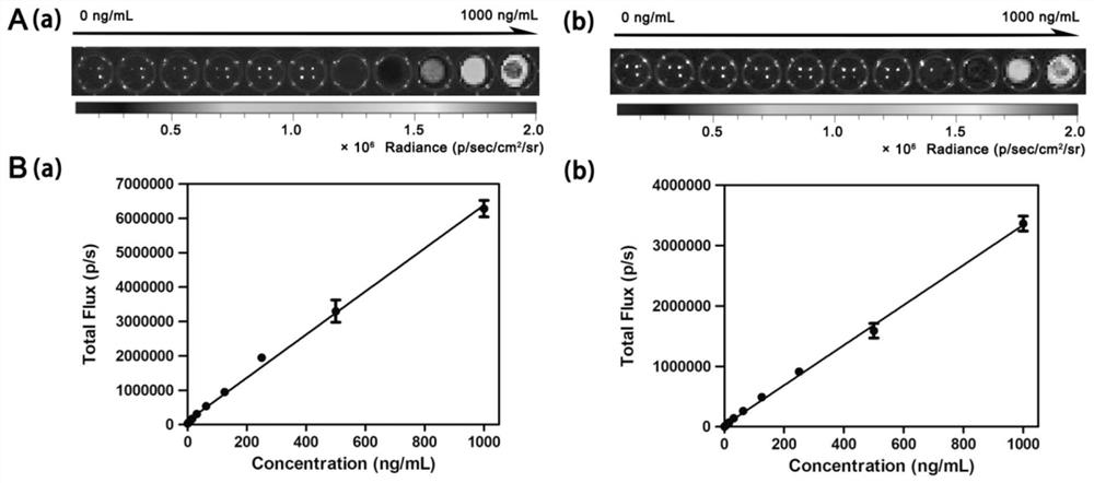 Chemiluminescent probe for detecting fibroblast activation protein, its synthesis method and application