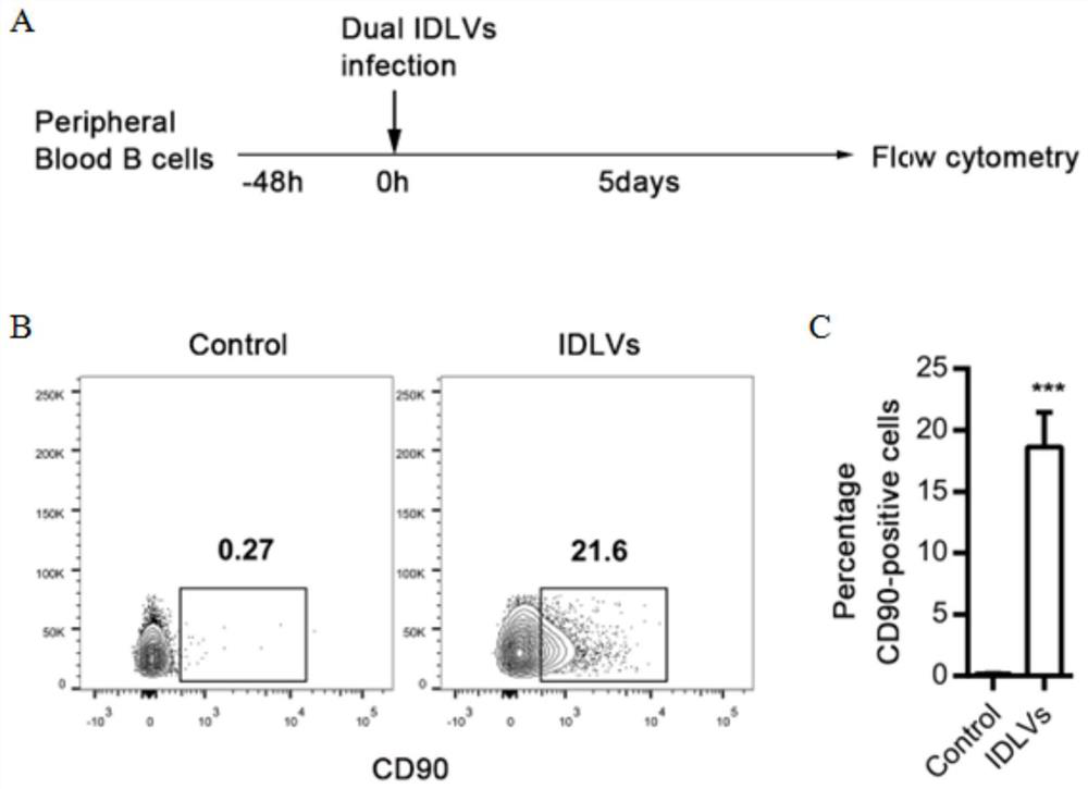 A long-lived plasma cell that secretes PD-1 antibody and its preparation method and application