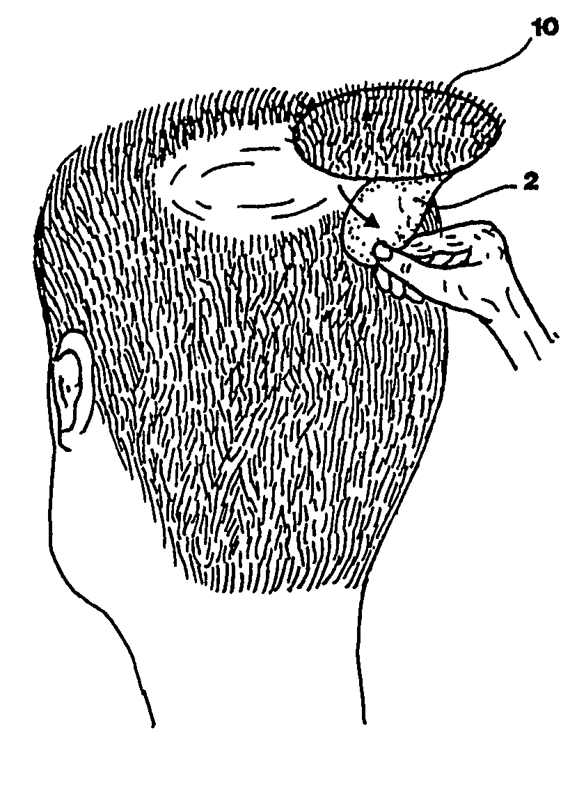 Sticker for the application of hair and the like and related method of manufacturing