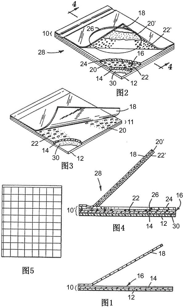 Method and culture device for detecting yeasts and molds