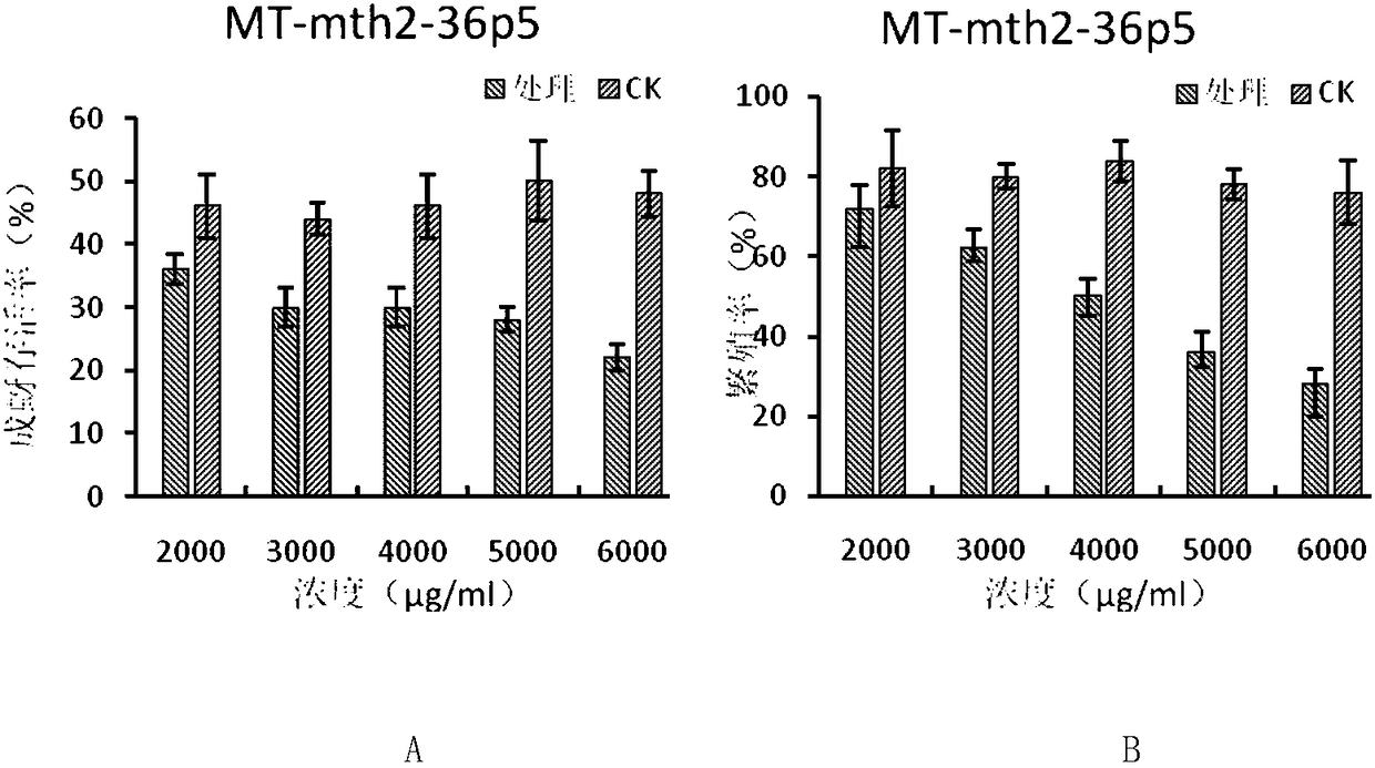 Medicago sativa trypsin inhibitor MT-mth2-36p5 as well as encoding gene and application thereof
