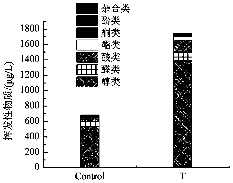A halophilic tetracoccus and application thereof in soy sauce production