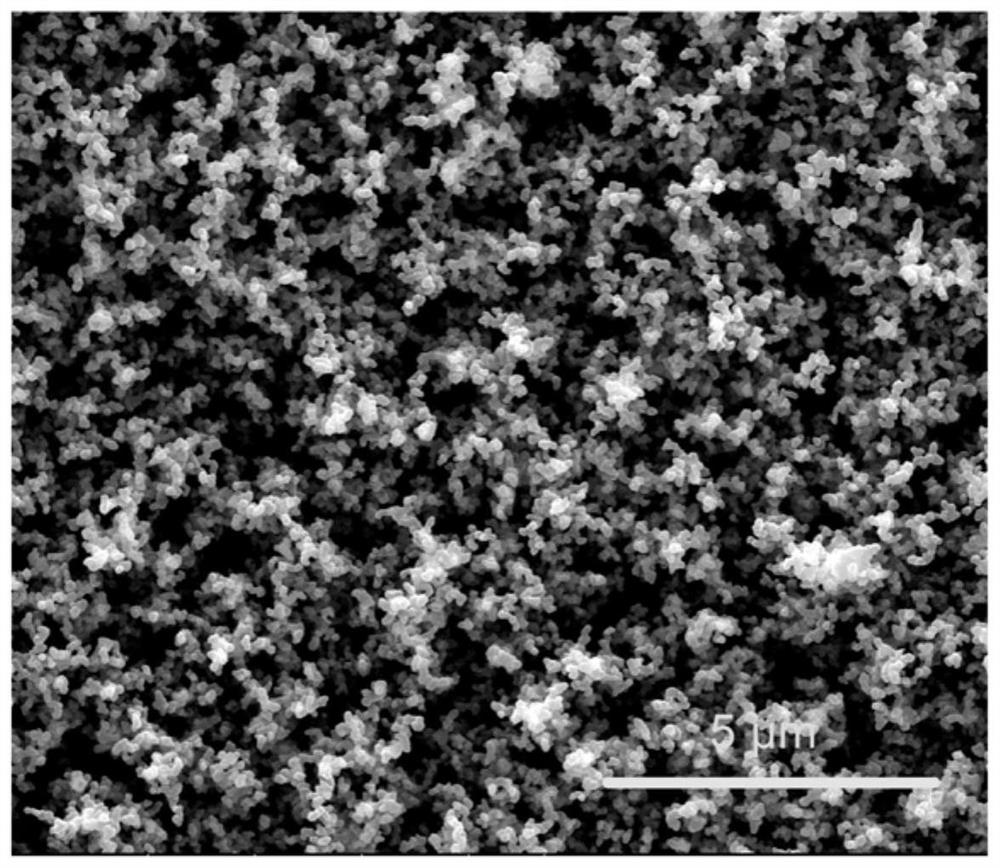 Polymer microparticle and preparation method thereof