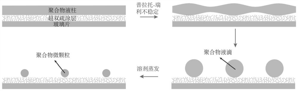 Polymer microparticle and preparation method thereof