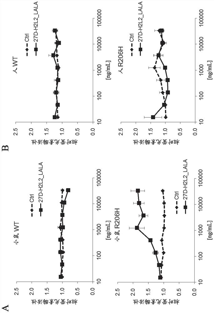 Pharmaceutical composition for treating or preventing heterotopic ossification