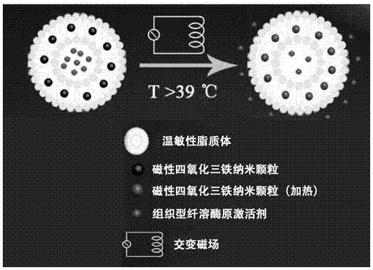 Preparation method for nanometer preparation of thrombolytic drug released under temperature control