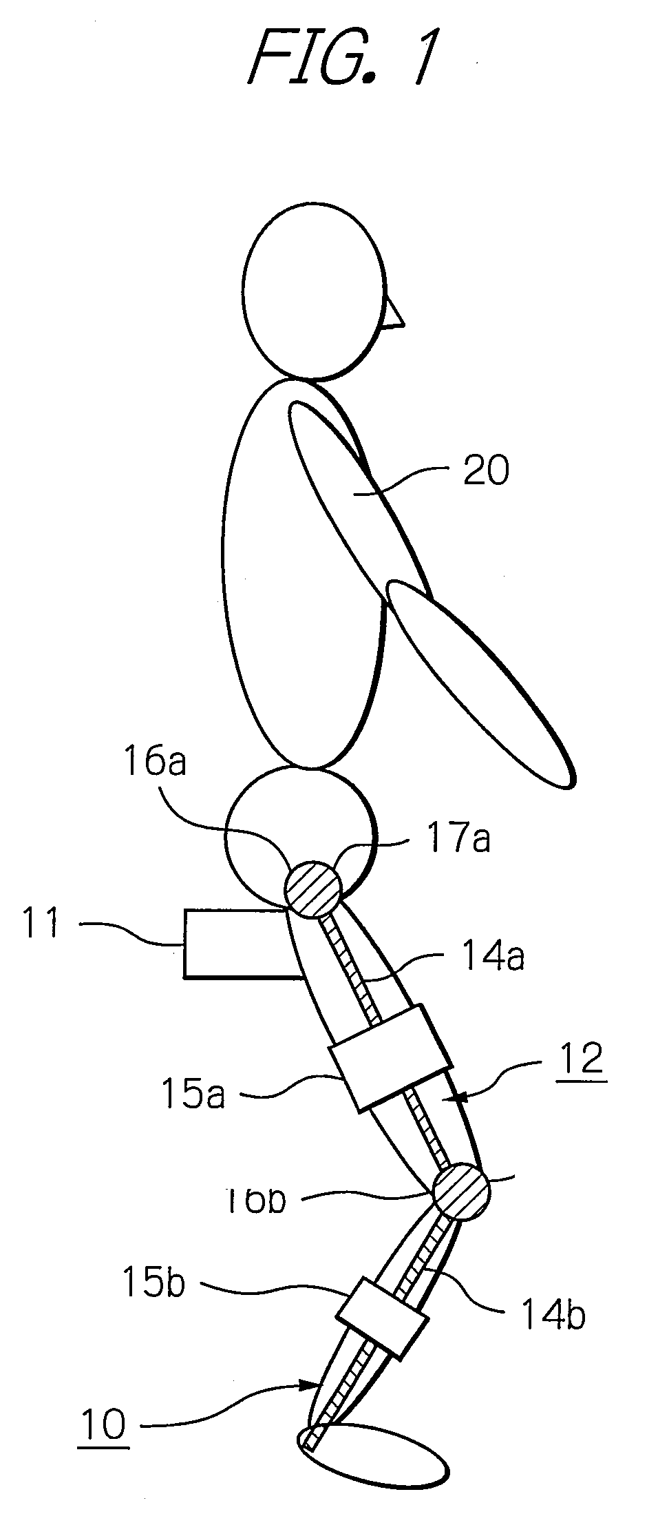 Apparatus and method for resistance-based muscular force evaluation using a hexagonal diagram of output distribution