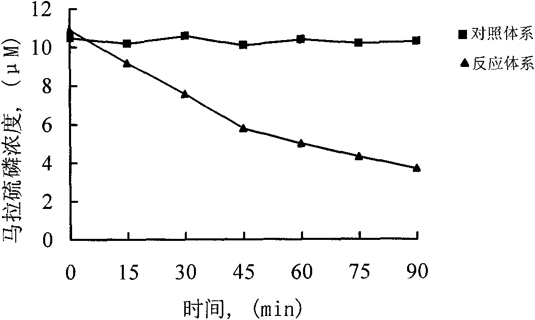 Detoxication engineering bacteria, and preparation method and application thereof