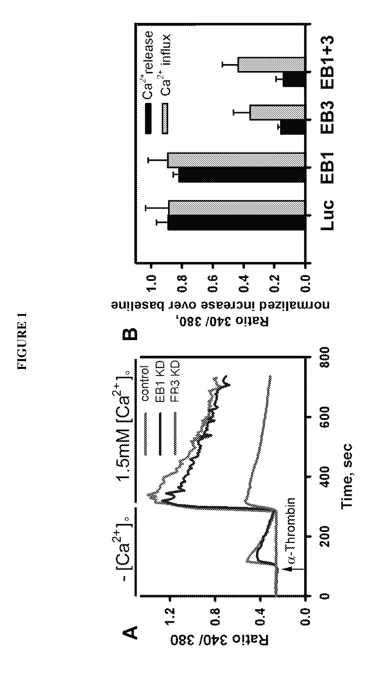 Peptide compositions and methods for treating lung injury, asthma, anaphylaxis, angioedema, systemic vascular permeability syndromes, and nasal congestion