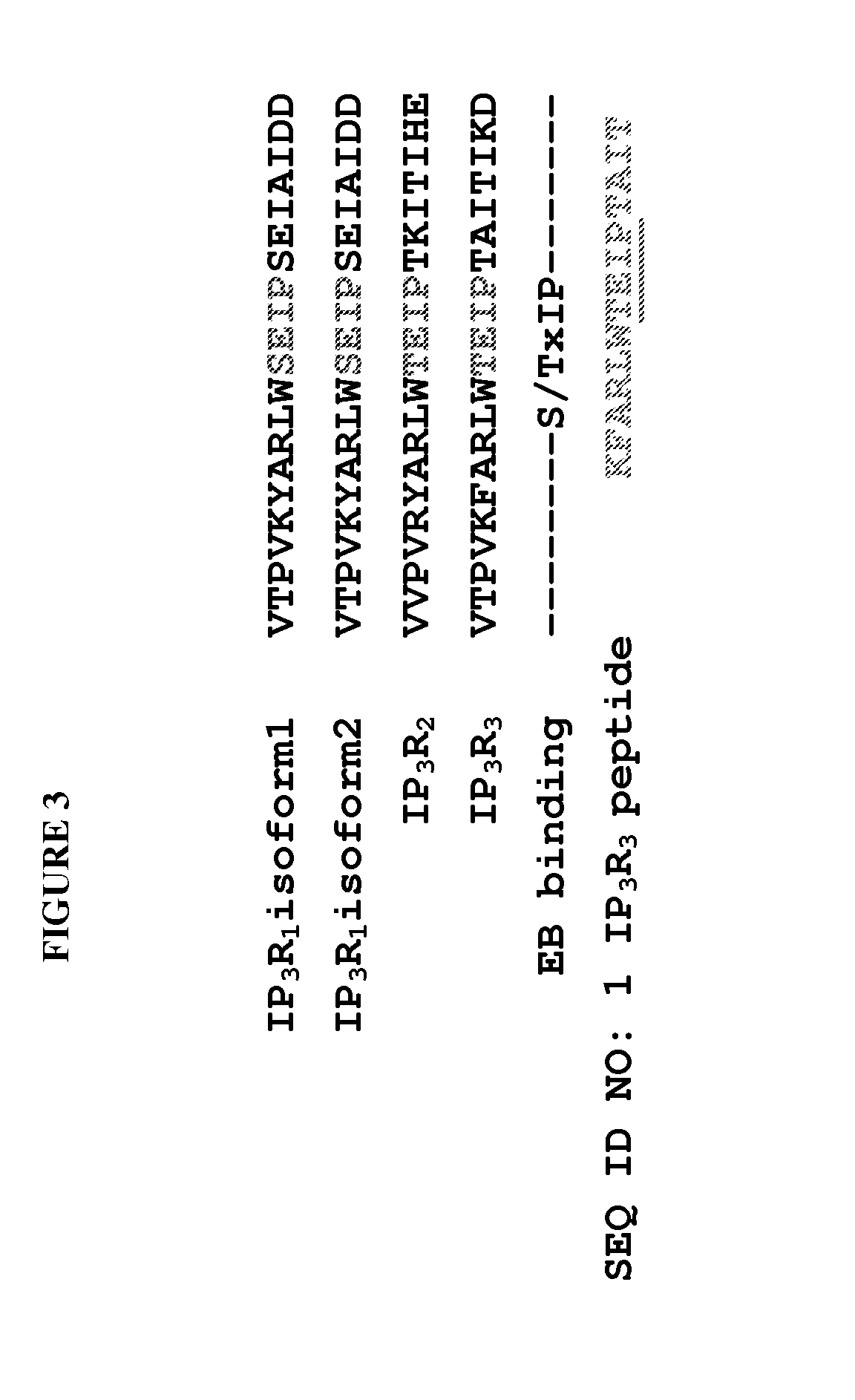 Peptide compositions and methods for treating lung injury, asthma, anaphylaxis, angioedema, systemic vascular permeability syndromes, and nasal congestion