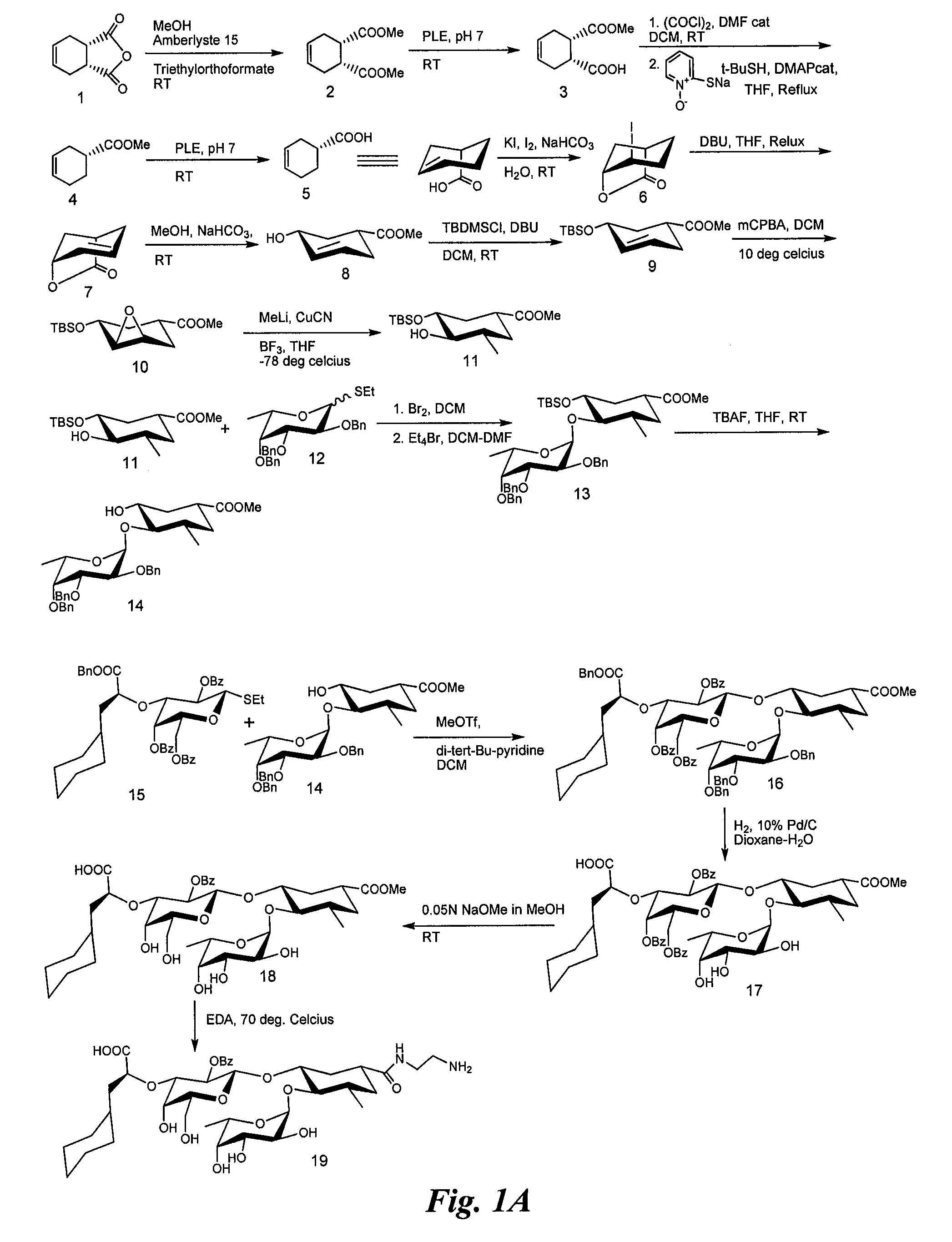 Heterobifunctional inhibitors of E-selectins and CXCR4 chemokine receptors