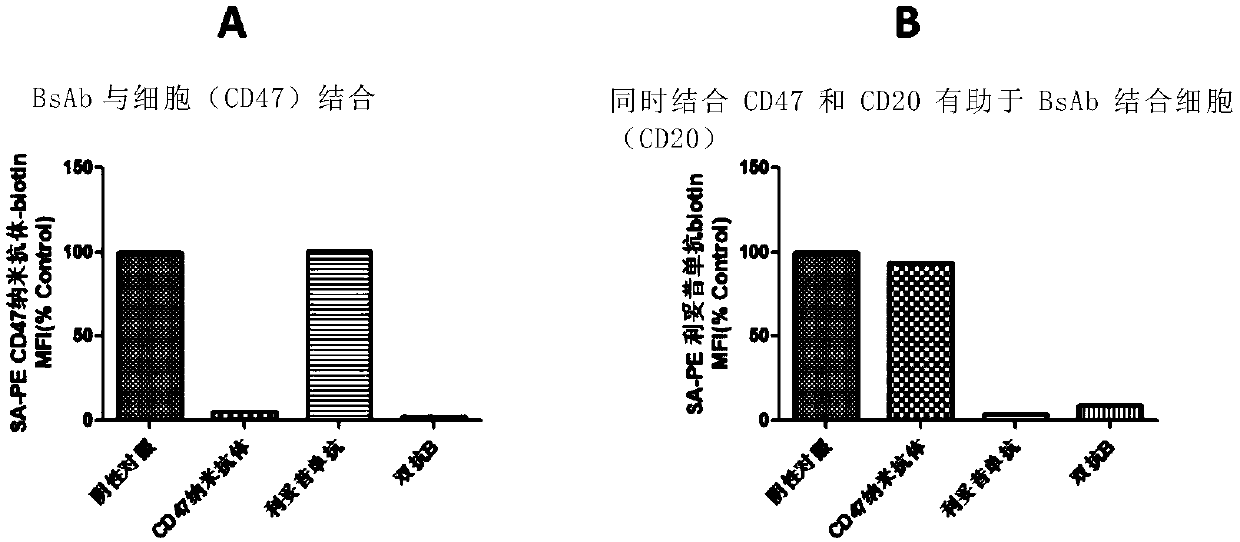 Anti-CD47/CD20 bispecific antibody and application thereof
