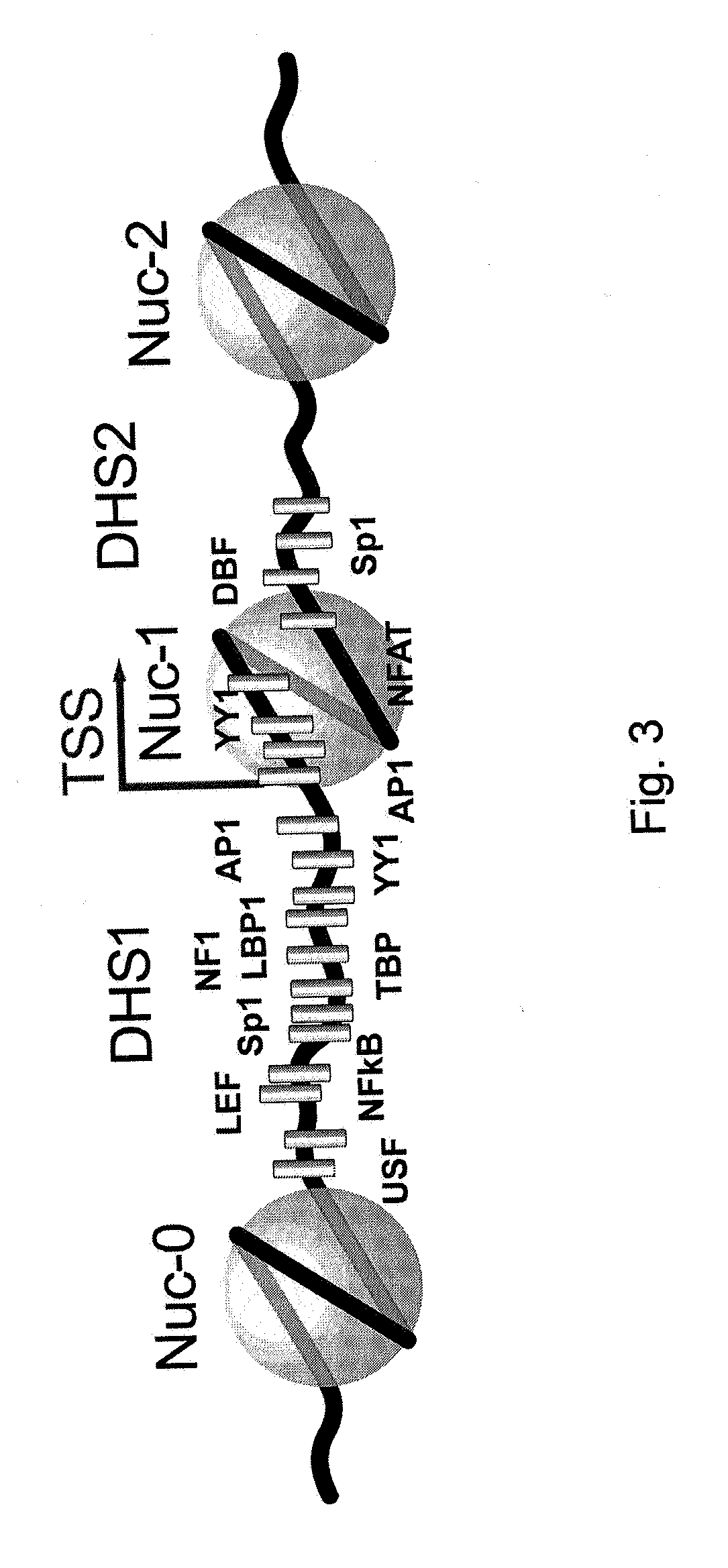 Methods for activating retrovirus in latent infected cells, and compounds for use therein