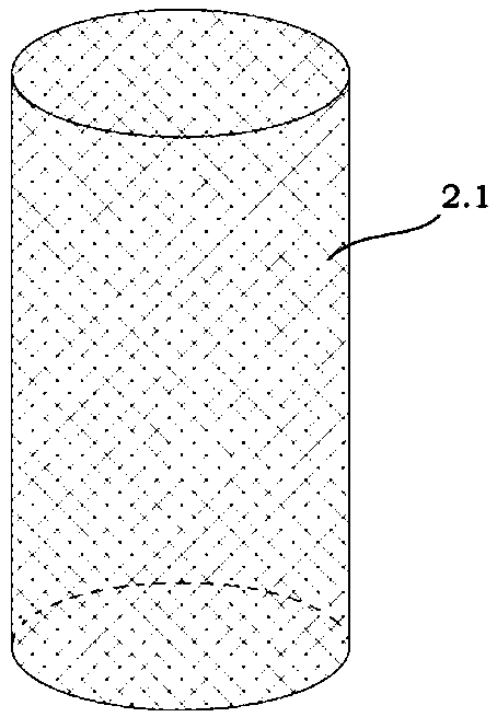 Device and method for determining virulence of whitefly pests by using living plant