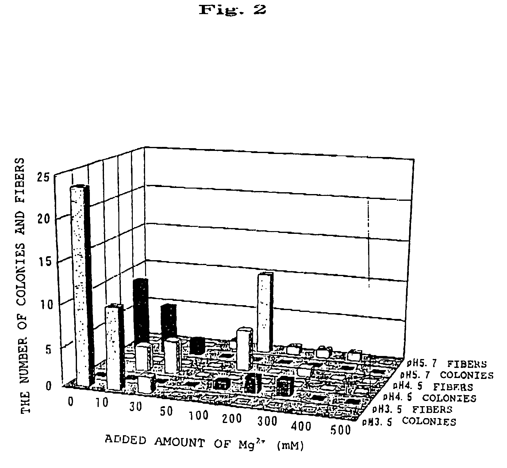 Process for producing non-cellulosic callose fiber by plant protoplast and callose fiber